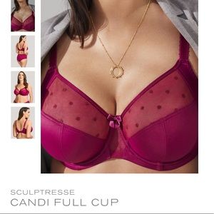 SCULPTRESSE BY PANACHE CANDI FULL CUP BRA

COLOUR: CASSIS